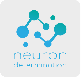Neuron